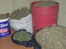 DICAN incauta 80 libras de marihuana