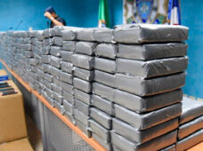 DICAN incauta 292,423.2 gramos en porciones de cocaina, crack, marihuana y extasis