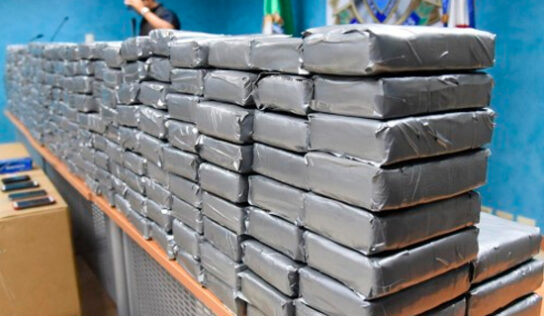 DICAN incauta 292,423.2 gramos en porciones de cocaina, crack, marihuana y extasis