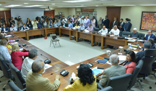 PLD aprueba incrementar cuota de la mujer; pospone tema del padrón y primarias