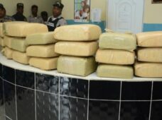 Policia Nacional decomisa drogas y apresan a más de mil personas