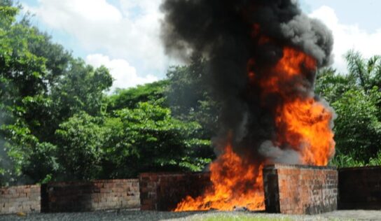 Procuraduría incinera más de 730 kilogramos de drogas confiscados en el mes de septiembre