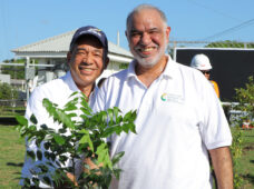 Inicia programa de siembra de un millón de árboles de caoba en Peravia y Punta Catalina