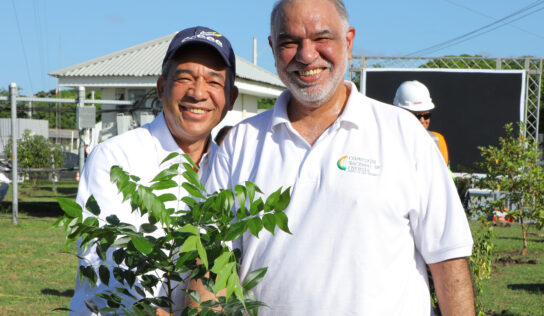 Inicia programa de siembra de un millón de árboles de caoba en Peravia y Punta Catalina