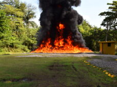 Procuraduría destruye más de 100 kilogramos de distintas drogas