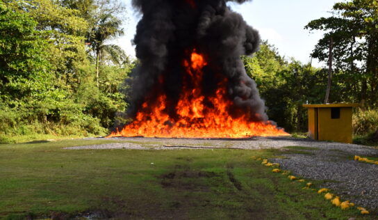 Procuraduría destruye más de 100 kilogramos de distintas drogas