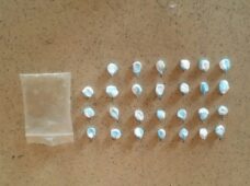 Policía Nacional arrecia su lucha contra el tráfico de sustancias controladas