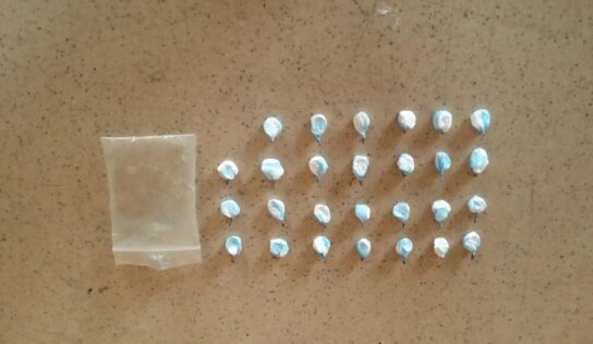 Policía Nacional arrecia su lucha contra el tráfico de sustancias controladas