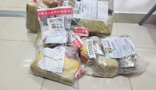 DNCD AMPLIA OPERATIVOS DE INTERDICCION Y OCUPA DROGAS EN EL DISTRITO NACIONAL Y GRAN SANTO DOMINGO