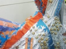 DNCD OCUPA EN “TRAJE DE CARNAVAL” MAS DE CUATRO MIL PASTILLAS DE ÉXTASIS