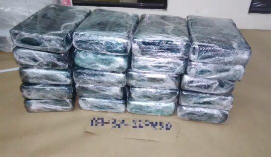 OCUPAN 20 KILOS DE COCAINA EN AEROPUERTO INTERNACIONAL LAS AMERICAS