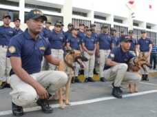 DNCD INTEGRA 24 UNIDADES CANINAS AL COMBATE Y PERSECUCIÓN DEL NARCOTRAFICO