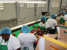 CEI-RD felicita a los cerca de 5,300 agentes exportadores dominicanos en su día