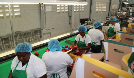 CEI-RD felicita a los cerca de 5,300 agentes exportadores dominicanos en su día