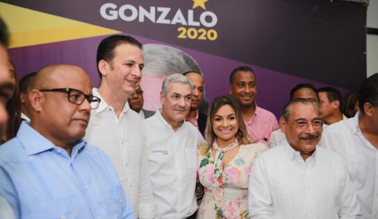 80% ESTRUCTURA PARTIDARIA DEL PLD EN PUERTO PLATA APOYA A GONZALO CASTILLO