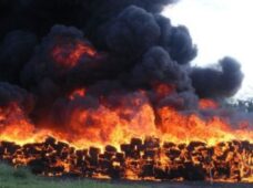 En el 2019, la Procuraduría General de la República quemó 14.5 toneladas de diferentes drogas.