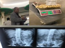 DNCD APRESA MULA EN EL AEROPUERTO DE PUNTA CANA CON 46 BOLSITAS DE COCAÍNA