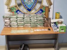 DICAN Y DINTEL realizan operativos antidrogas