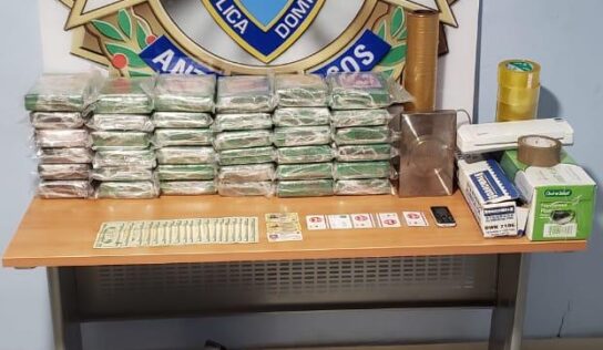 DICAN Y DINTEL realizan operativos antidrogas