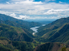 Día Mundial Forestal y Día Internacional de los Bosques: RD ha reforestado más de 532 mil tareas a través de proyectos en cuencas región Sur