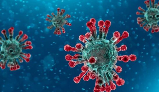Las 4 etapa en que el coronavirus infecta el cuerpo