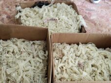 Fiscalía de Santo Domingo Este desarticula laboratorio de adulteración de bebidas alcohólicas