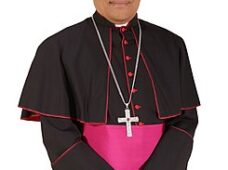 Obispo de San Juan está de acuerdo con estudio de factibilidad sobre mina de oro