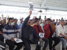 Bienes Nacionales subastó vehículos y mobiliarios por más de 15 millones