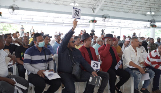 Bienes Nacionales subastó vehículos y mobiliarios por más de 15 millones