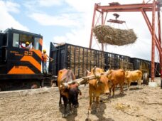 Empleos en riesgo tras veto de EEUU a empresa Central Romana