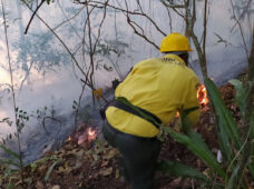 Ministerio de Medio Ambiente mantiene controlado incendio forestal