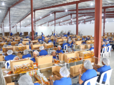 Zonas francas registran el mejor enero, alcanzando los USD 522 millones